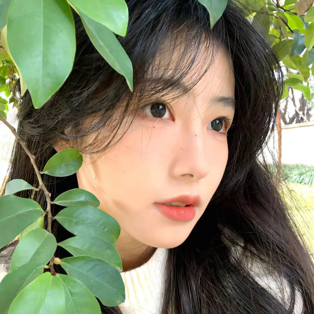恋极星